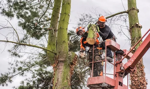 Emergency and Storm Work