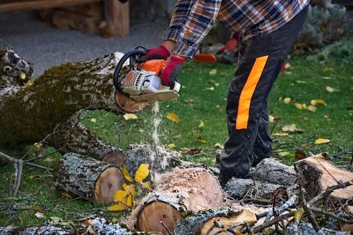 Stump Removal